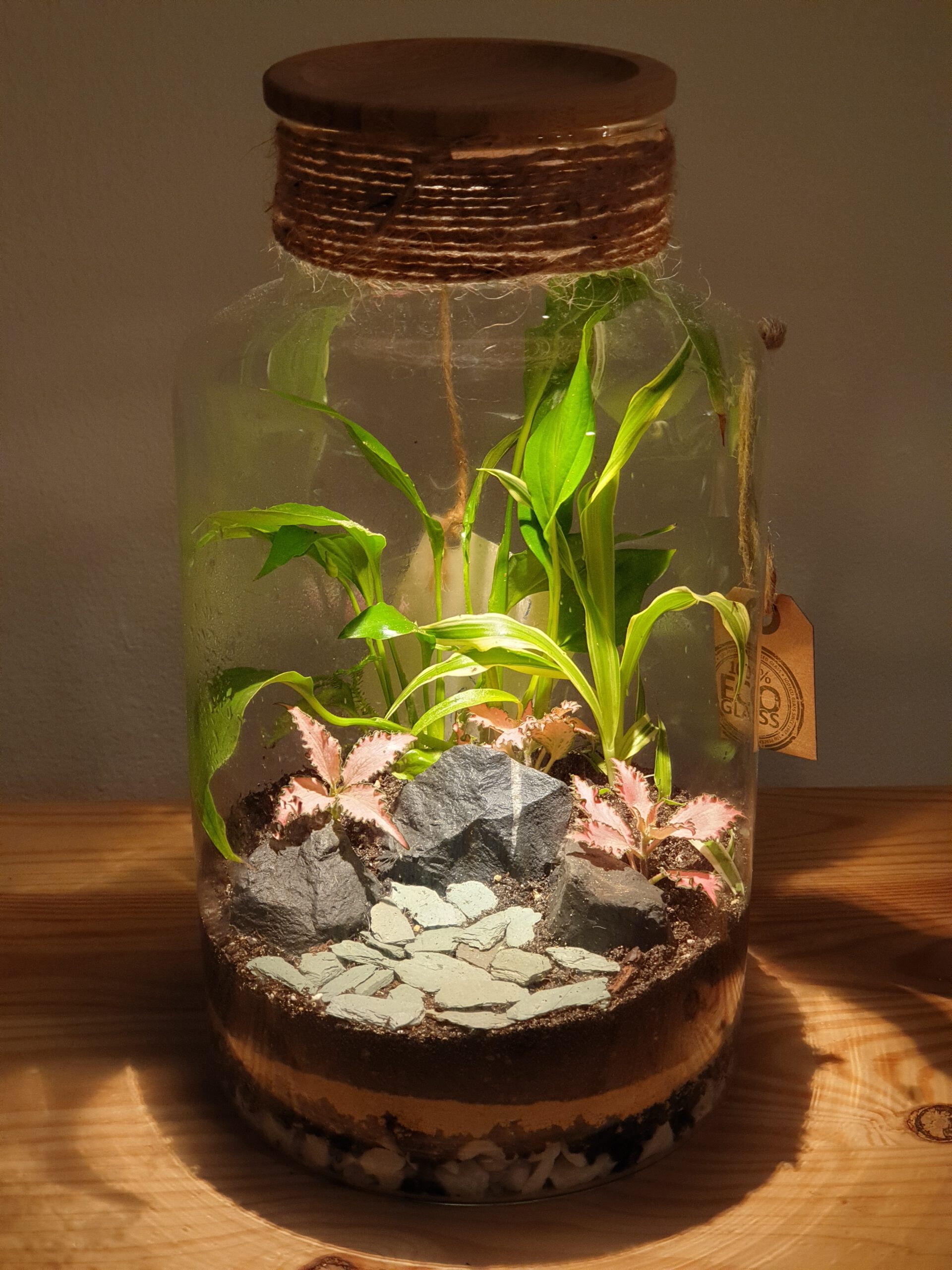 Closed terrarium "Nepal" with LED light Closed terrarium "Nepal" with LED light